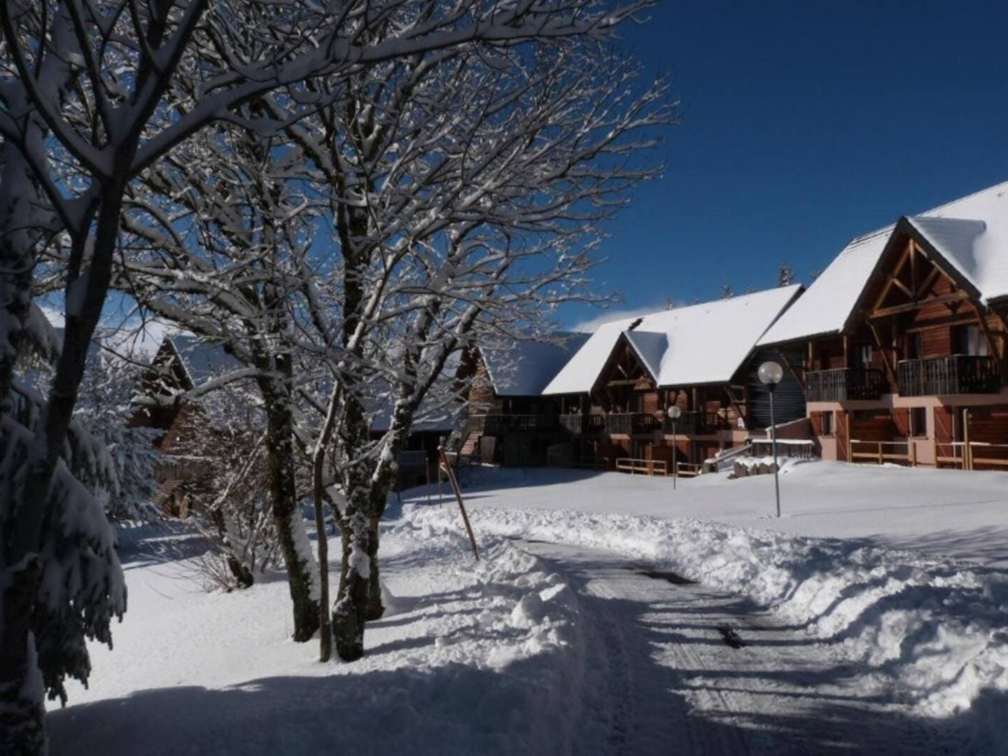 bi_photo-bois_reine-1