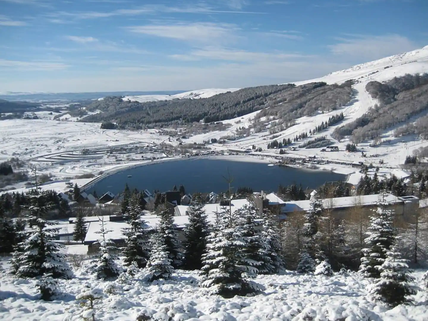 bi_photo-bois_reine-12