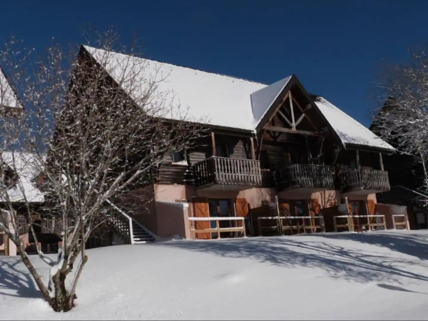 bi_photo-bois_reine-2